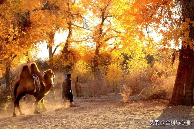 下半年,适合一个人出来的20个小众旅行地:累了,就出来走一走吧