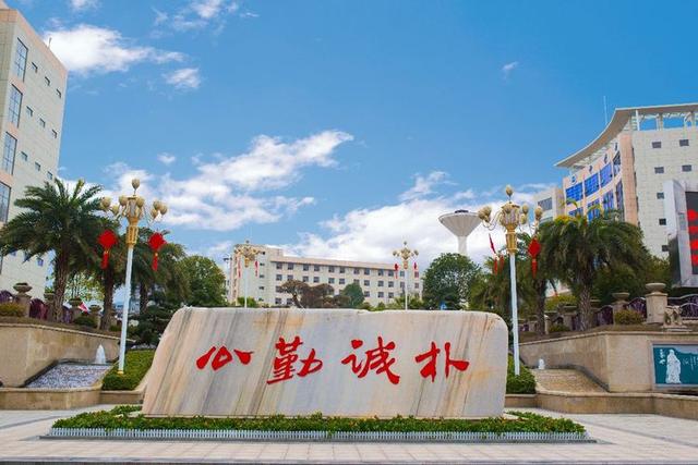 雅礼中学是私立还是公立，湖南怀化民办高中？