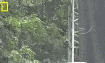 科普张姿势动图GIF:感觉自己姿势又涨了100点