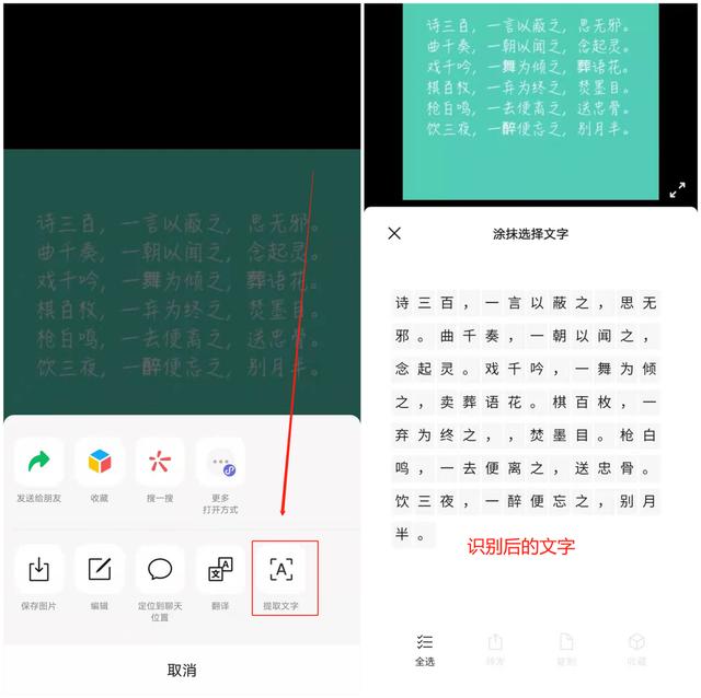 手机识别文字的4种方法！每一个都非常实用，建议收藏