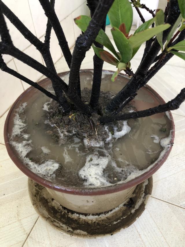 宁夏珍珠岩制砂机价格