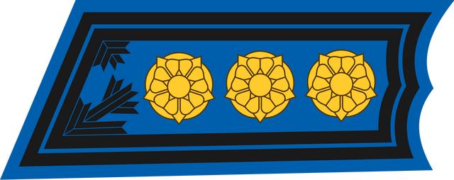 各国军衔标识:芬兰