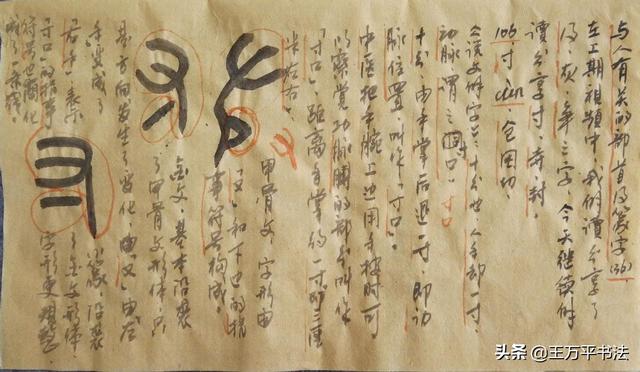 寺的偏旁寺的偏旁有哪些字