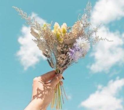 https://blog.sina.com.cn/s/blog_9766a3620102yz1x.html