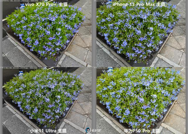 年度之战，iPhone 13 PM、X70 Pro+、华为P50P、小米11U拍照横评