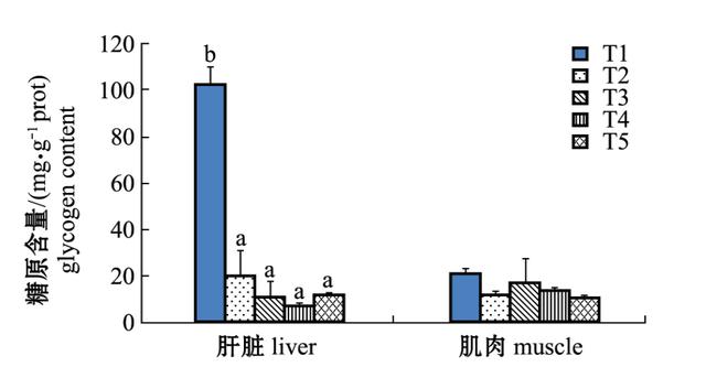 老头鱼 老头鱼（老头鱼还能长大吗） 动物