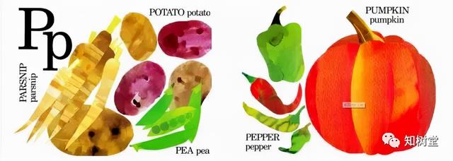 分享3本字母主题的经典英文绘本