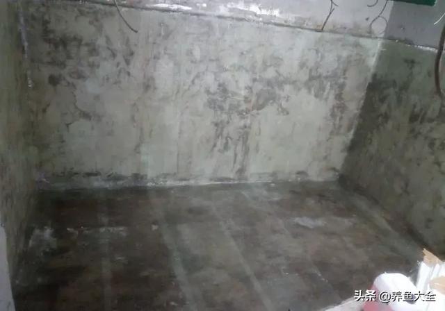鱼缸制氧过滤机带装饰