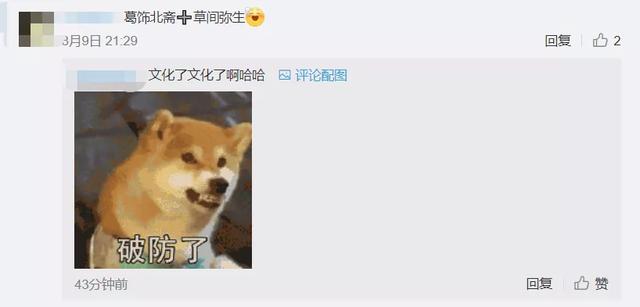 草间弥生变海间弥生 黄色波点南瓜被吹进海里 中日网友脑洞大开 太阳信息网
