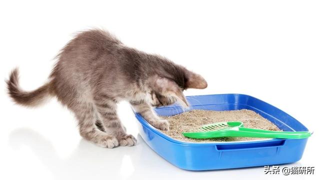洗衣机洗猫砂