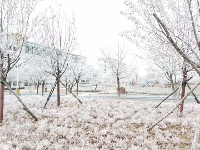 辽宁财贸学院