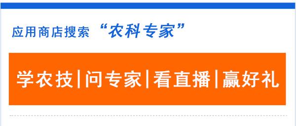 蓟马、白粉虱危害严重，你找到特效药了吗？