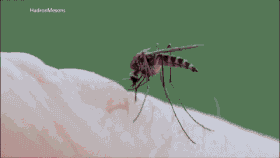 科普张姿势动图GIF:感觉自己姿势又涨了100点