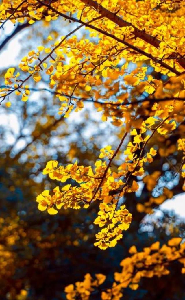 秋凉要保暖的三个部位