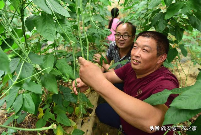 无资金创业，没钱还想返乡创业这几点都是我多年的经验，今天分享给大家