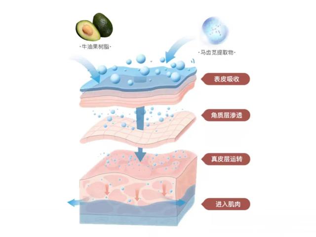 笙木之源身体乳新款