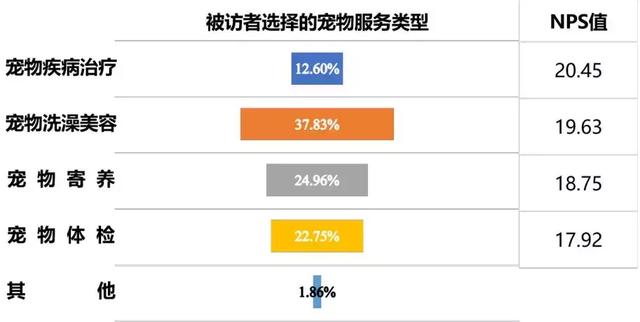 深圳宠物美容 深圳宠物美容（深圳宠物救助站） 动物