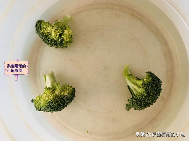 孩子长身体，早餐别将就，鸡蛋蔬菜巧搭配，一蒸一煎，营养又解馋