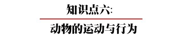 初中各科思维导图全汇总（语文、数学、地理、历史、化学、生物）