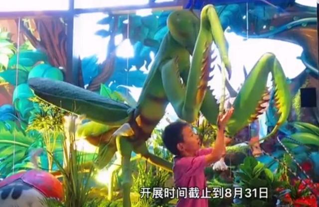 深圳机械展可以带小孩