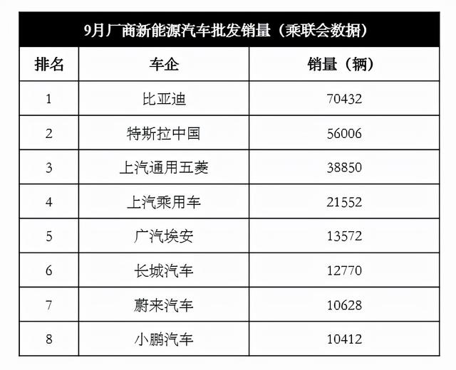 想入手新能源汽车？看看海外新能源用户钟爱哪些中国品牌？