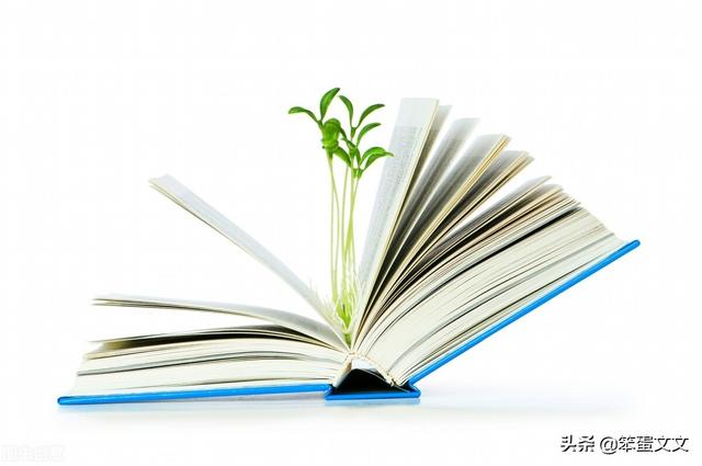 独处是自我的丰富（二）