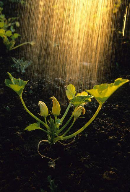 形容雨大的成语