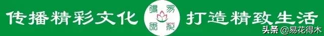 鹅耳枥