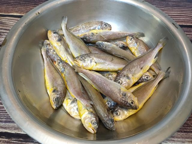小黄花鱼