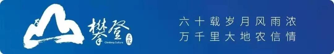 省联社公司金融部「财务云协同管理平台」