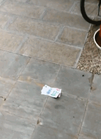 搞笑的GIF动态图：小样，我就不信老子逮不住你