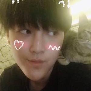 小白先生的小白白