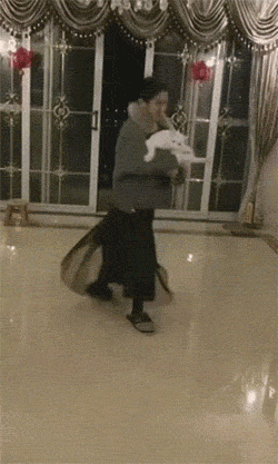 搞笑的GIF动图图片：得知自己是国宝后，整个人彻底膨胀了