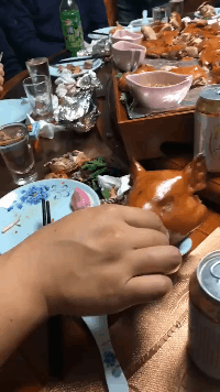 搞笑动态图GIF：这鸡应该是得了腰椎间盘突出了！