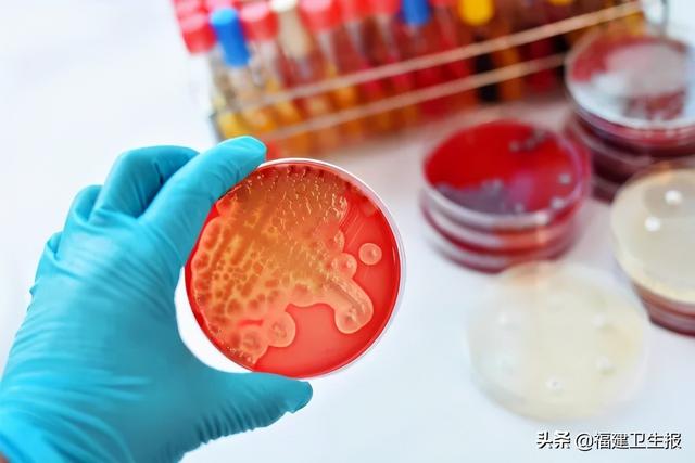 四岁宝宝腿上长鸡皮疙瘩