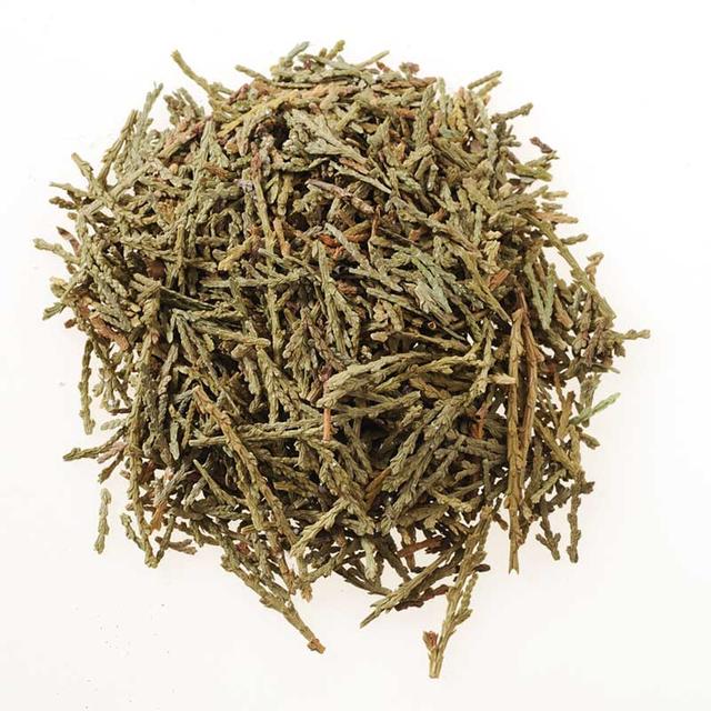 中药古今研究：侧柏叶