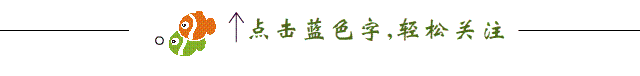 辊破碎机辊齿_大型齿辊破碎机