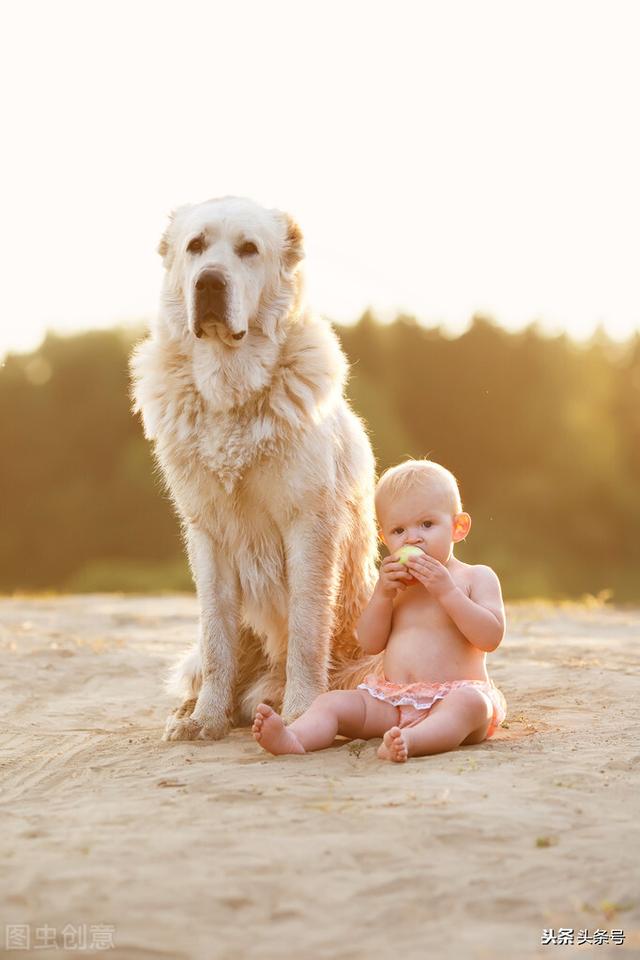 孩子养个宠物，你赞同还是反对？