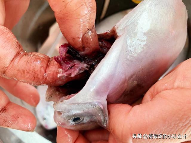 鲳鱼要不要刮鱼鳞
