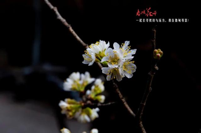 迪庆制砂机械维修