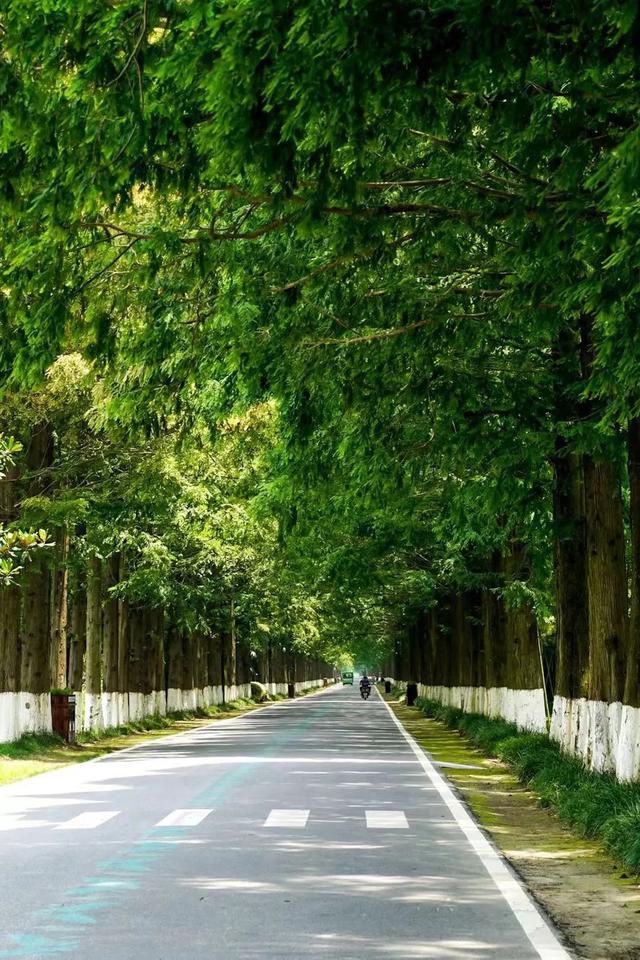 黃海森林公園團建
