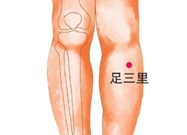 “世”说新语之沁人心脾：脾是后天之本，中医三个办法赶走脾虚