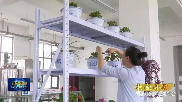 一种新型液体菌剂在延安研制成功