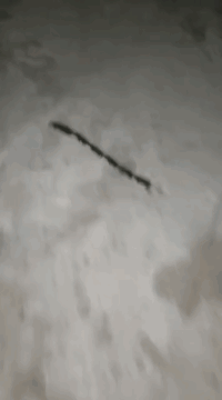 爆笑的GIF动图：小伙这剧情反转的可以啊！