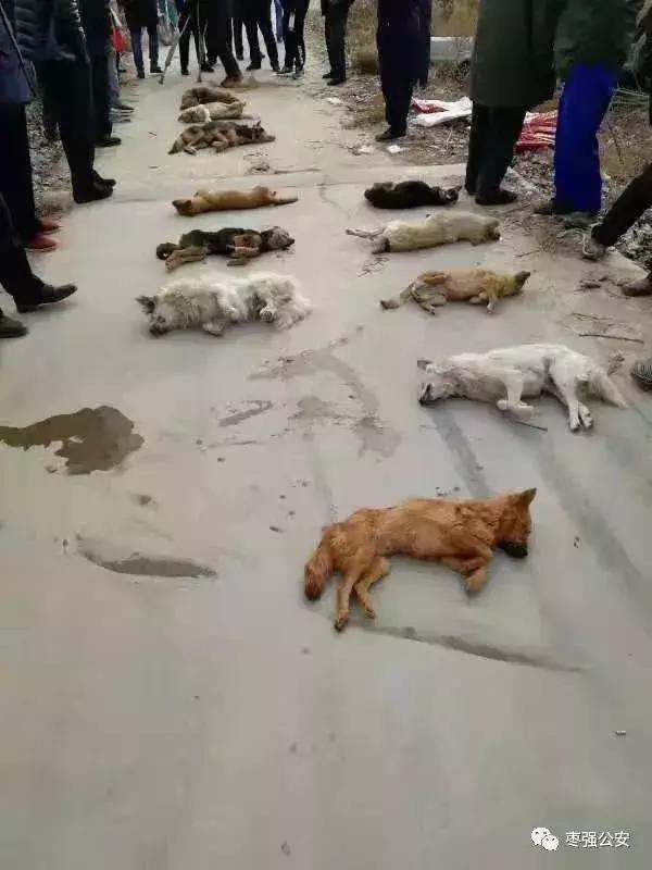 河北邢台华普制砂机才油机