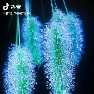 睿智的足球爱好者