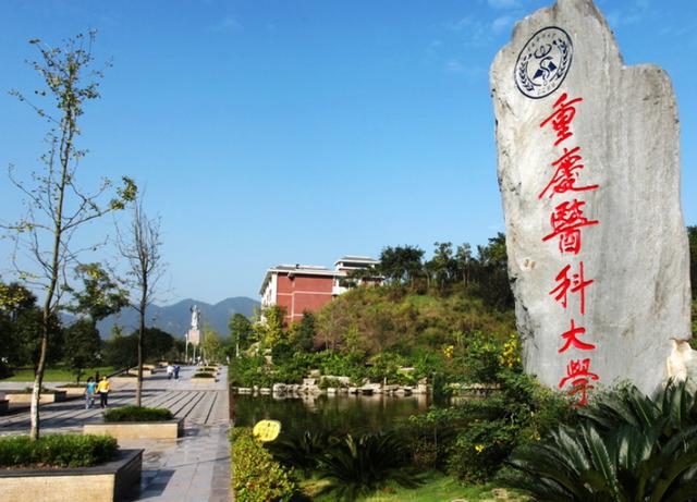 重庆大学属于几本，重庆最好的十所一本大学？