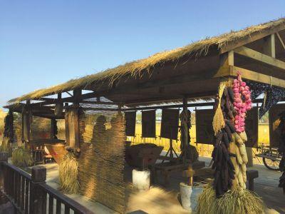 北京小镇北京这个稻香小镇秋天美成了一幅北京海淀上庄镇区域