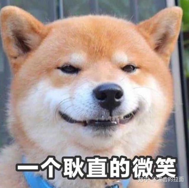 德国豆浆机破碎机多少钱一台_破壁机和豆浆机的区别