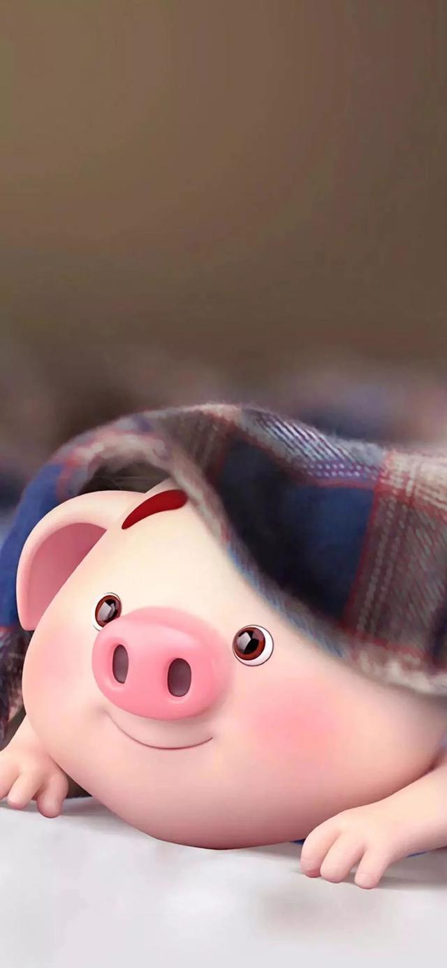 抖音网上名人小猪壁纸收藏